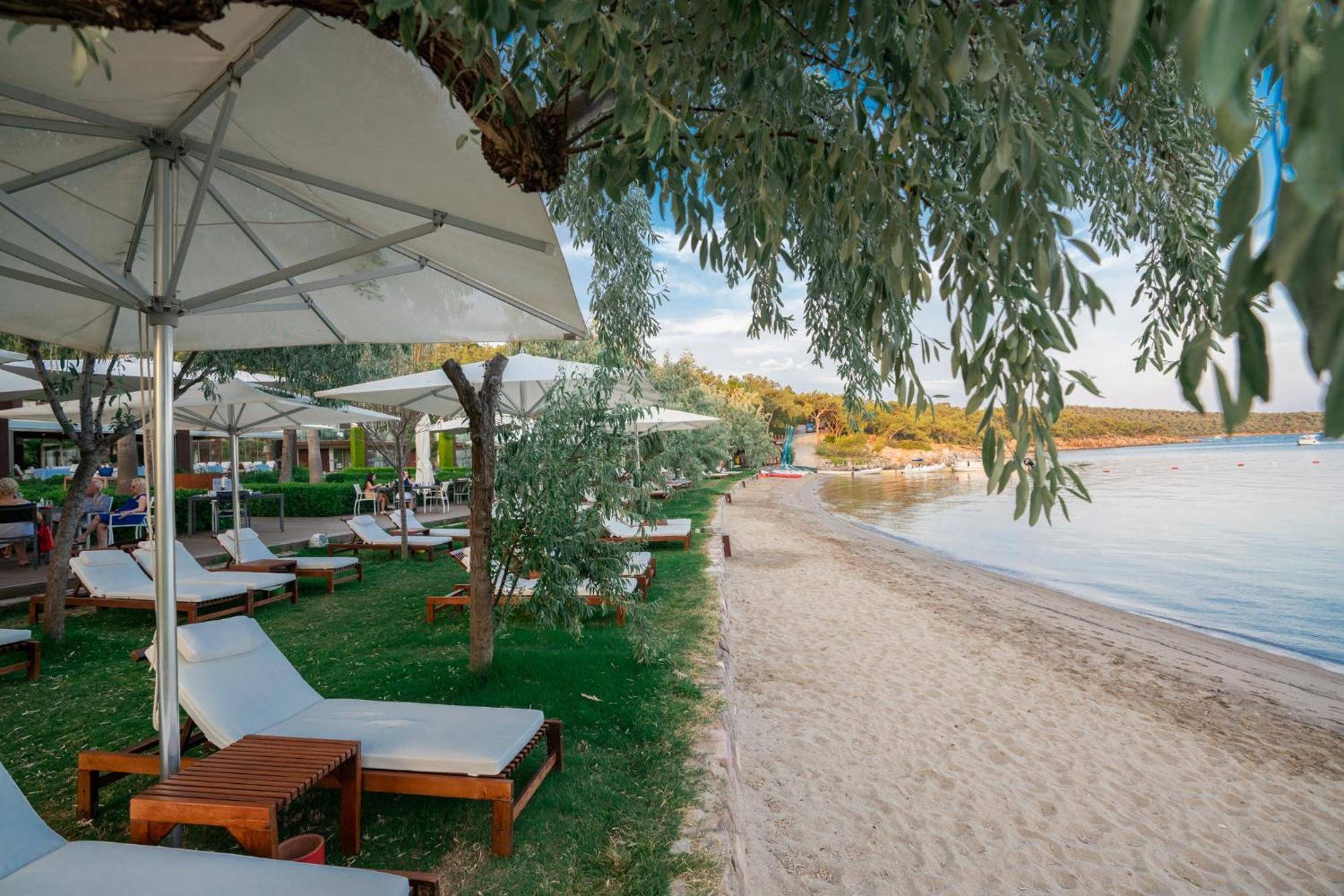 Ortunc Hotel - Cunda Island (Adults Only) Ayvalı المظهر الخارجي الصورة