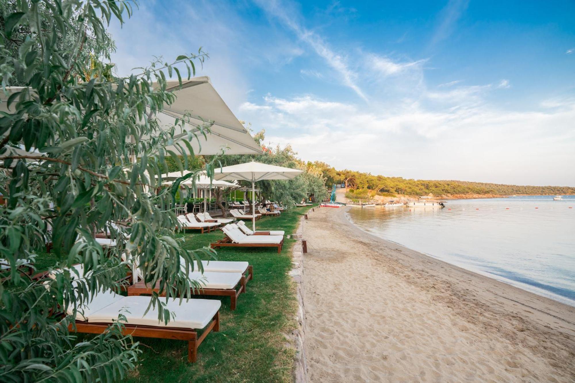 Ortunc Hotel - Cunda Island (Adults Only) Ayvalı المظهر الخارجي الصورة