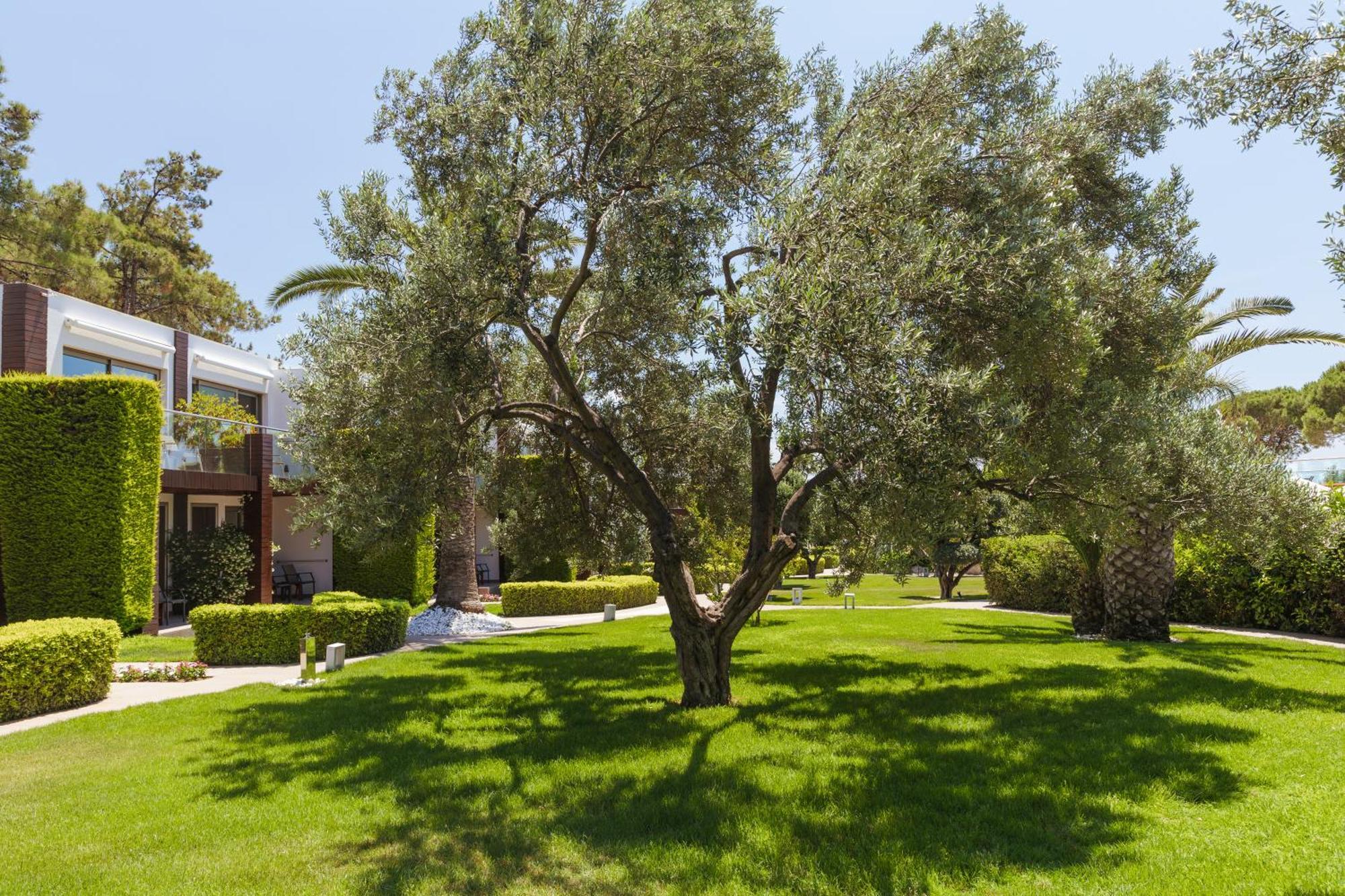 Ortunc Hotel - Cunda Island (Adults Only) Ayvalı المظهر الخارجي الصورة