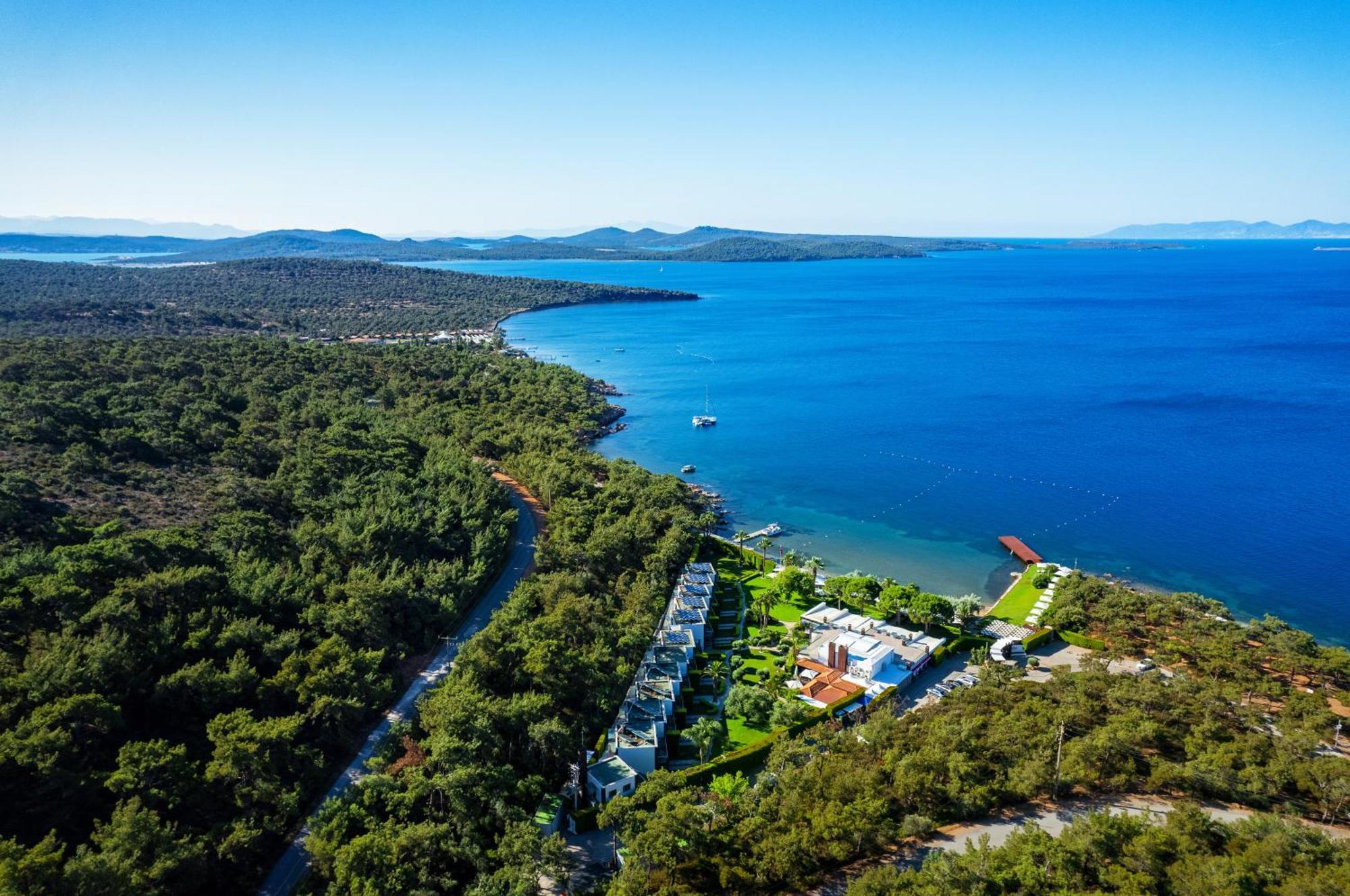 Ortunc Hotel - Cunda Island (Adults Only) Ayvalı المظهر الخارجي الصورة