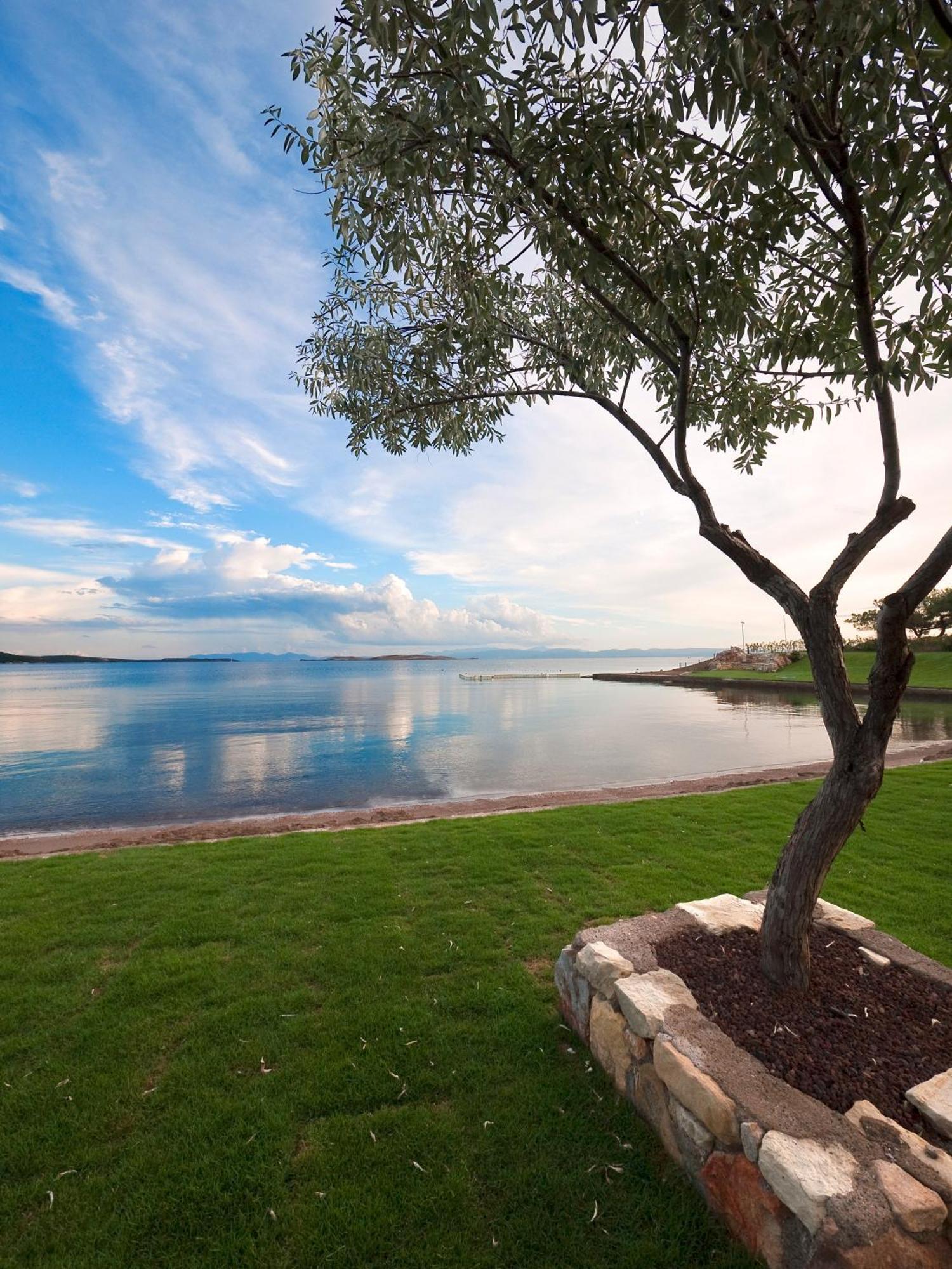 Ortunc Hotel - Cunda Island (Adults Only) Ayvalı المظهر الخارجي الصورة